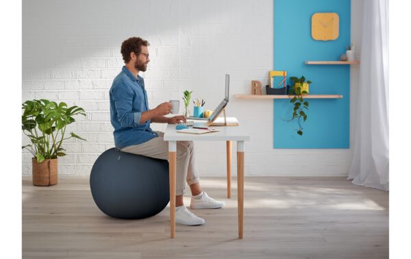 1317983_3 - Mediatech Leitz Sitzball Ergo Cosy grau