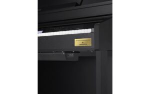 1335355_6 - Mediatech CASIO AP-710BK CELVIANO Digital Piano, schwarz