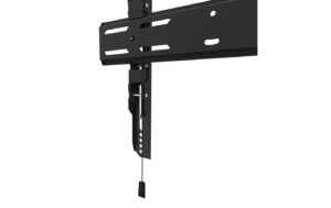 Neomounts WL30S-850BL14 Screen Wall Mount (fixed)