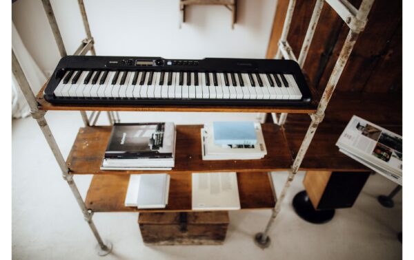 CASIO LK-S250 Portable Keyboard, 61 Keys
