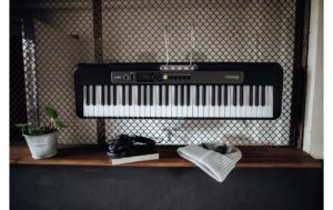 CASIO LK-S250 Portable Keyboard, 61 Keys