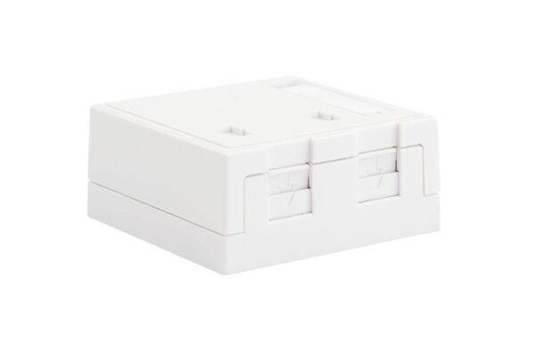 1346513_2 - Mediatech Dätwyler AP Gehäuse Keystone 2x mit Staubschutz