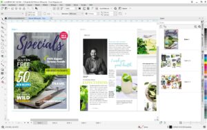 Corel CorelDraw Graphics Suite Agnostic Single User, Box, Windows, 1 Jahr, ML