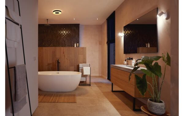 Philips Hue White & Color Amb. Xamento Deckenleuchte M schwarz
