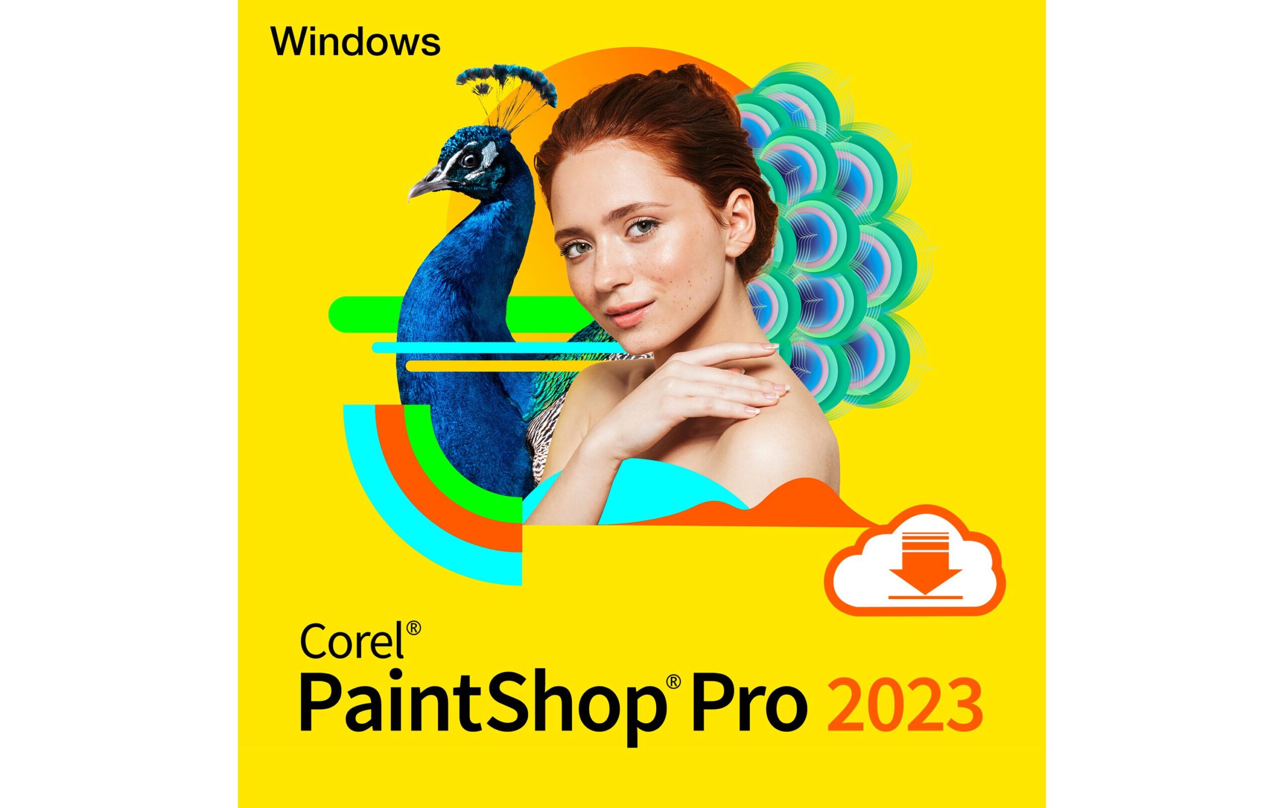 1439003 - Mediatech Corel PaintShop Pro 2023 ESD, Single User, Windows, Voll., ML kaufen Schweiz | Mediatech.ch