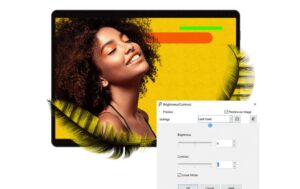 1439003_2 - Mediatech Corel PaintShop Pro 2023 ESD, Single User, Windows, Voll., ML