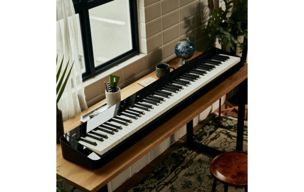 CASIO PRIVIA PX-S5000 PRIVIA Digital Piano, schwarz glanz