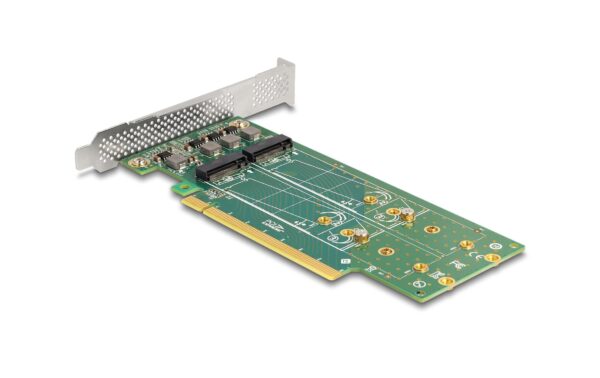Delock PCI-Express4.0 x16 Karte zu 4xIntern U.2 NVMe M.2 KeyM 110mm SFF8639 Bifurcation