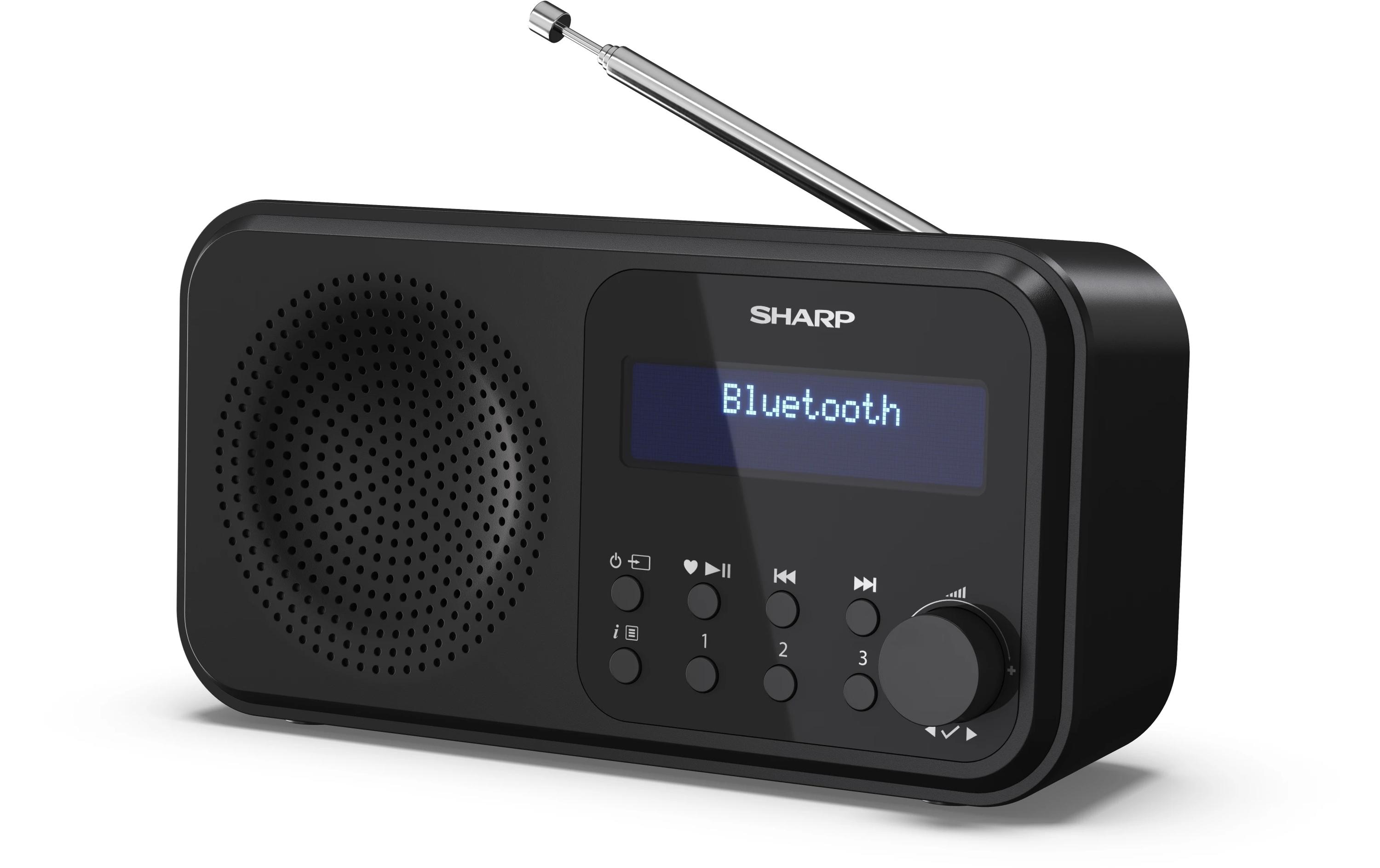 1489003 - Mediatech Sharp Digitalradio DR-P420 schwarz