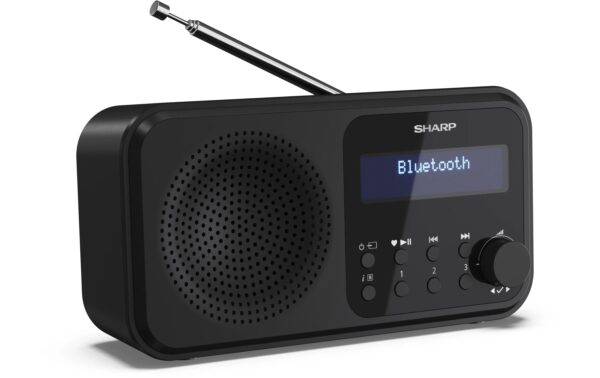 1489003_2 - Mediatech Sharp Digitalradio DR-P420 schwarz