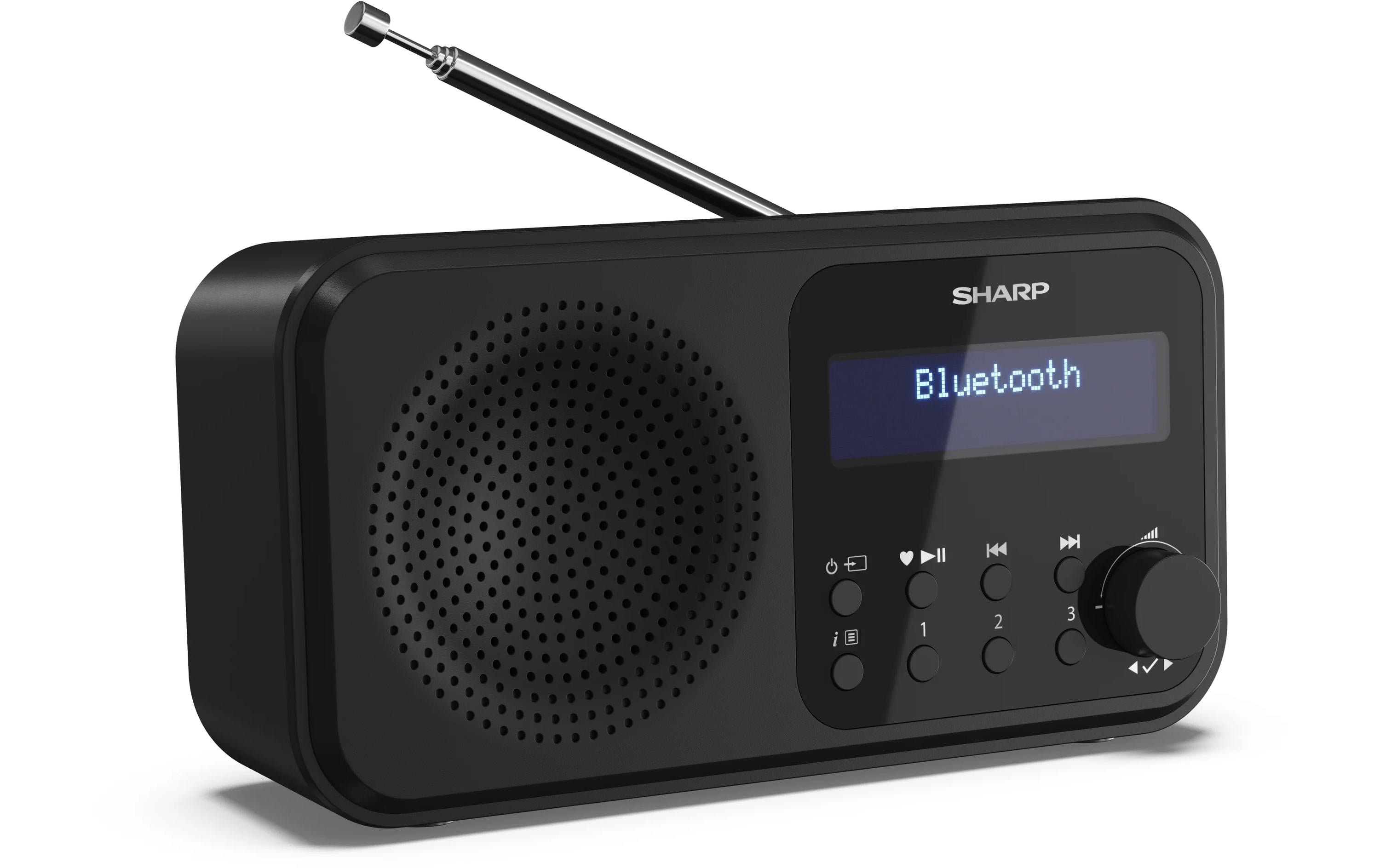1489003_2 - Mediatech Sharp Digitalradio DR-P420 schwarz