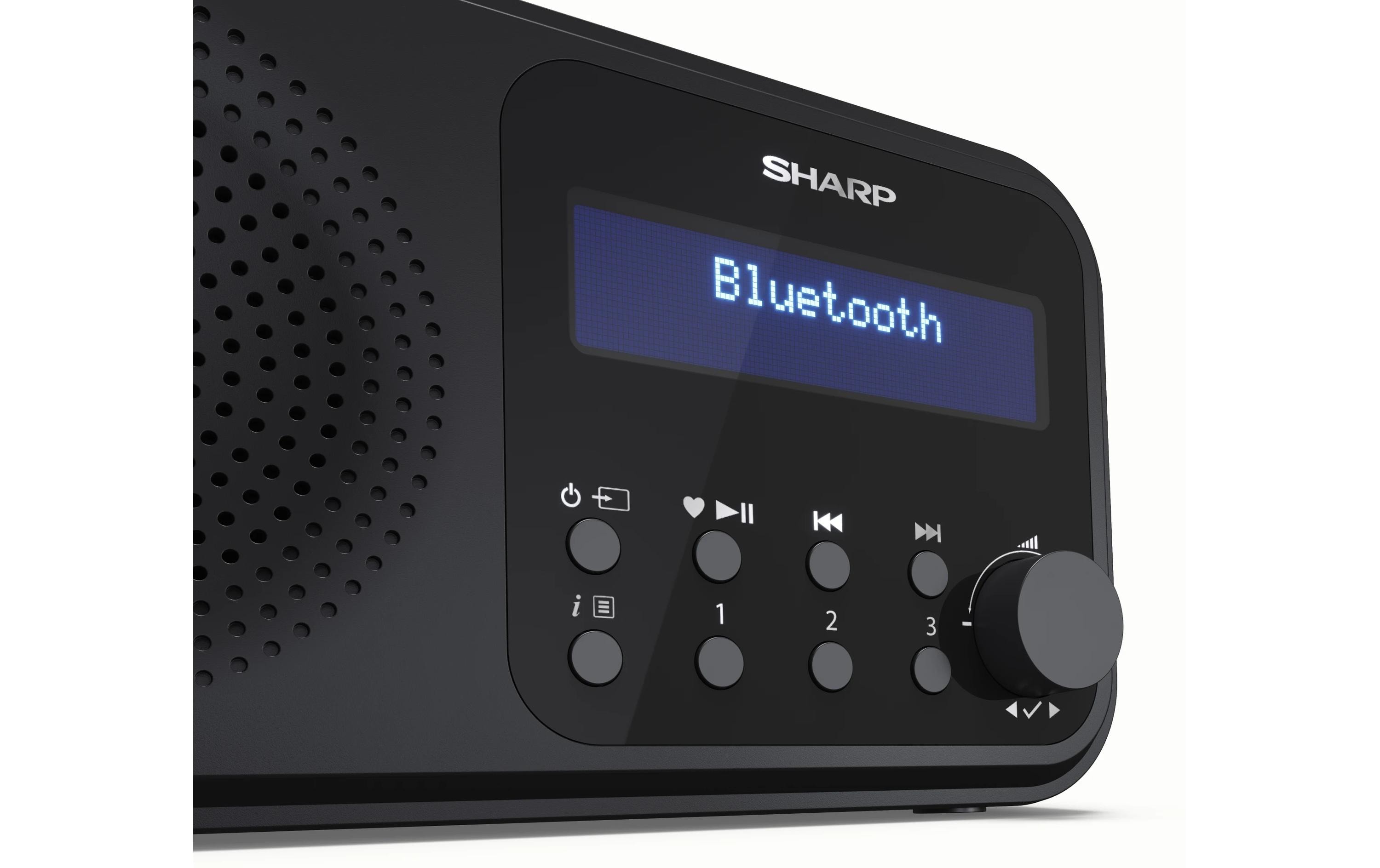1489003_3 - Mediatech Sharp Digitalradio DR-P420 schwarz