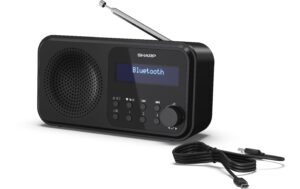 Sharp Digitalradio DR-P420 schwarz