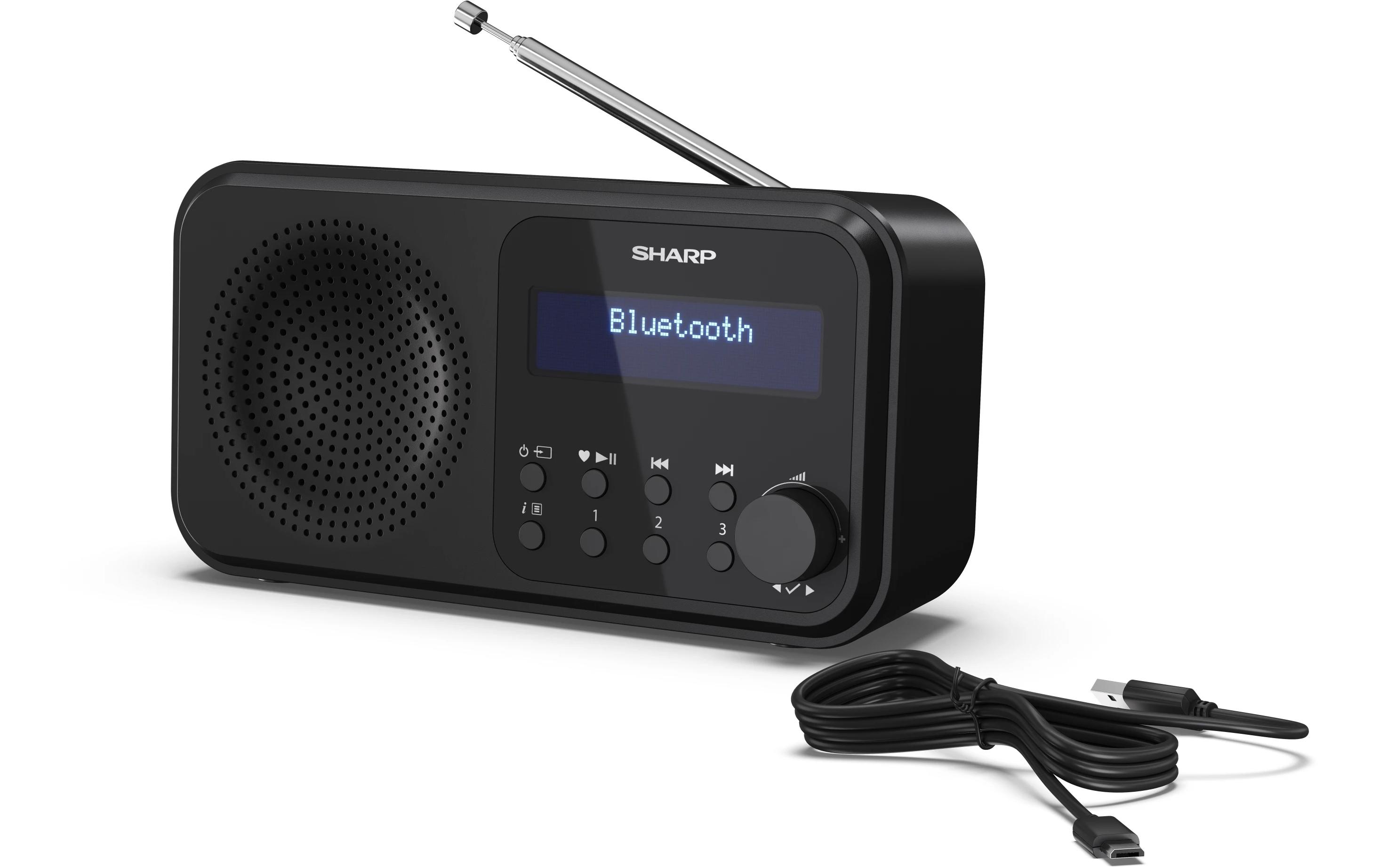 1489003_4 - Mediatech Sharp Digitalradio DR-P420 schwarz