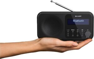 Sharp Digitalradio DR-P420 schwarz
