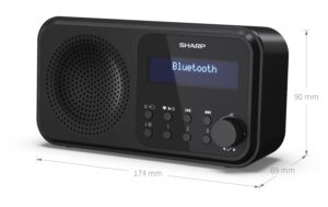 Sharp Digitalradio DR-P420 schwarz