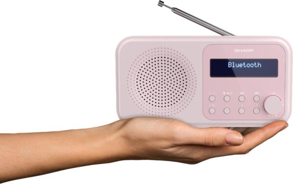Sharp Digitalradio DR-P420 pink