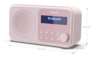 Sharp Digitalradio DR-P420 pink