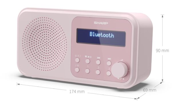 Sharp Digitalradio DR-P420 pink