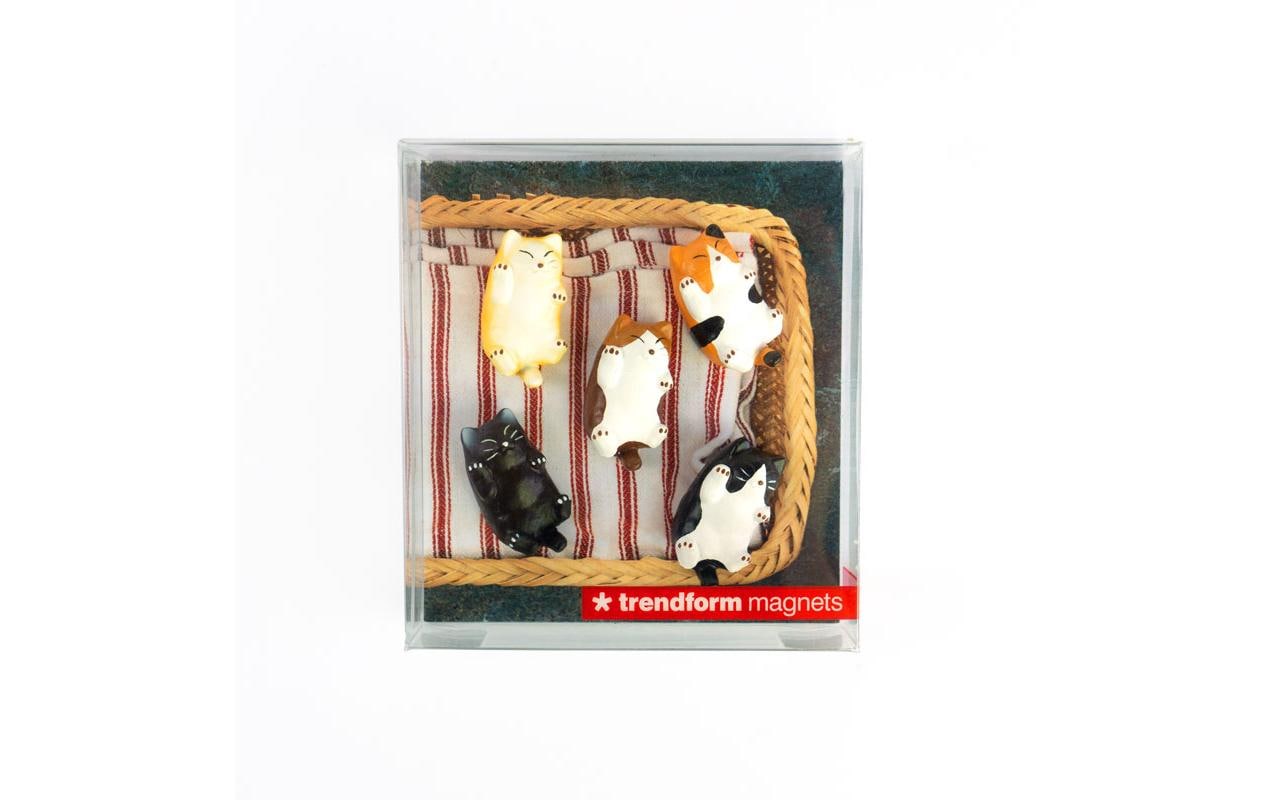 1557129_1 - Mediatech Trendform Magnete KITTY 5er Set 5er Set