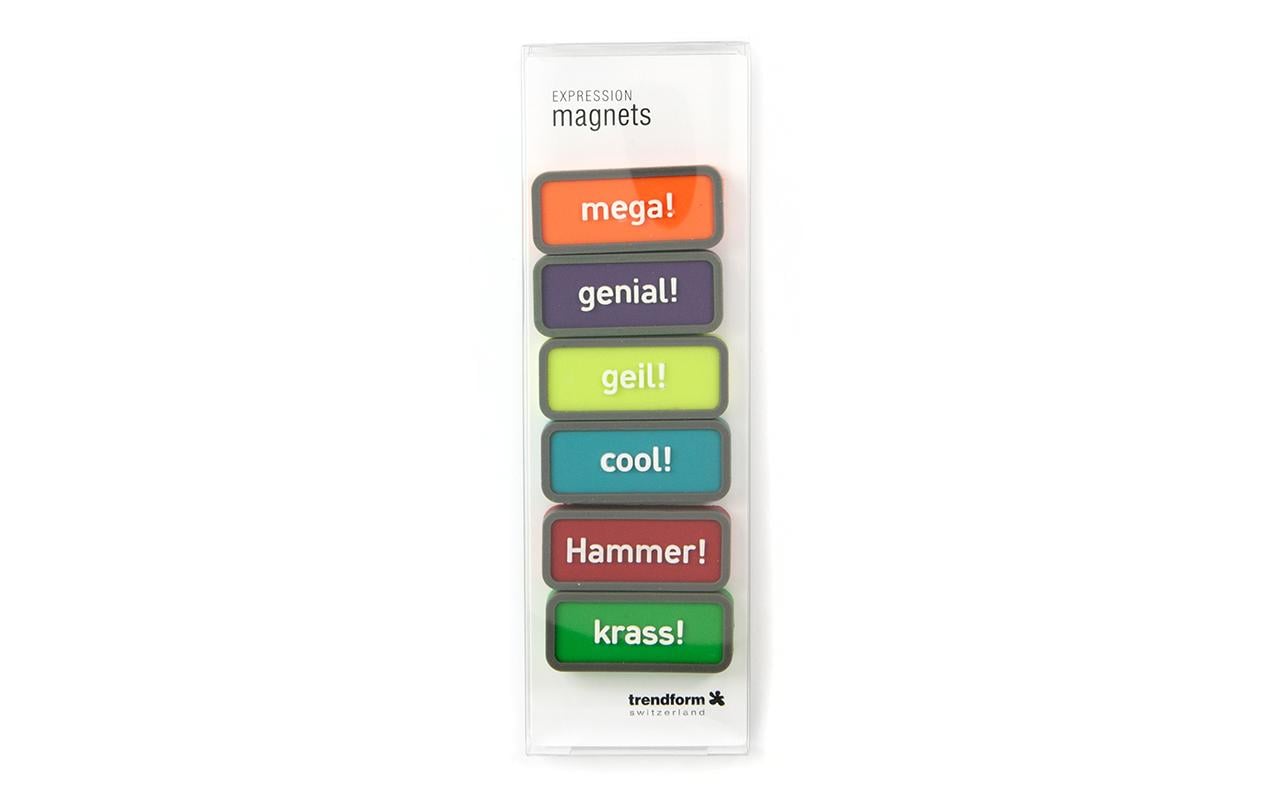 1557147_1 - Mediatech Trendform Ausdruck-Magnete MOTIVATION 6er Set, Deutsch