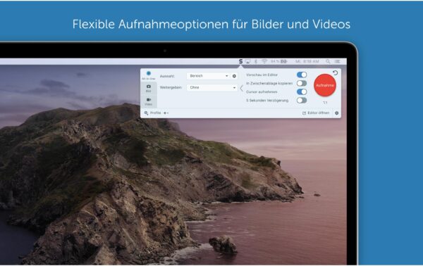 1581358_7 - Mediatech TechSmith Snagit, 2000+ User MNT RNW, 3 Jahre