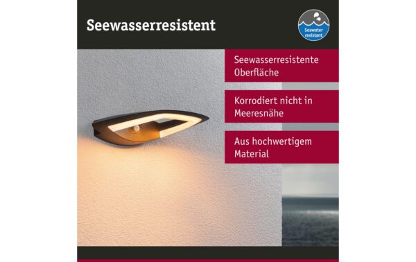 Paulmann Outdoor Wandleuchte Akena anth. PIR insect friendly 230V