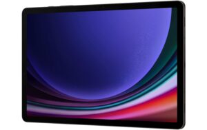 Samsung Tab S9 5G Gray 12+256GB 256GB