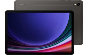Samsung Tab S9 5G Gray 12+256GB 256GB