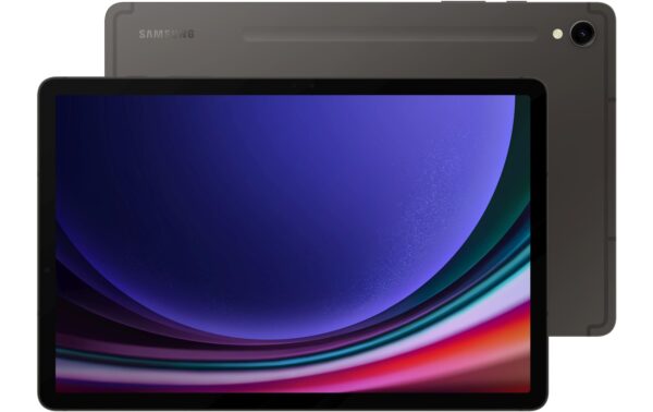 Samsung Tab S9 5G Gray 12+256GB 256GB