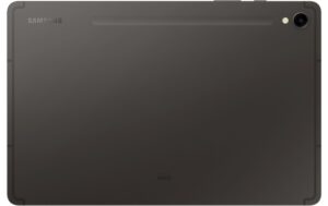 Samsung Tab S9 5G Gray 12+256GB 256GB