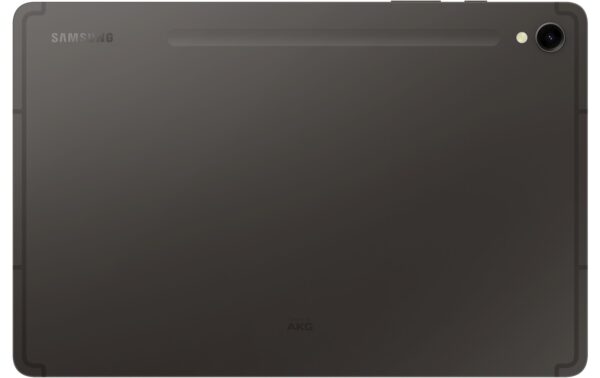 Samsung Tab S9 5G Gray 12+256GB 256GB