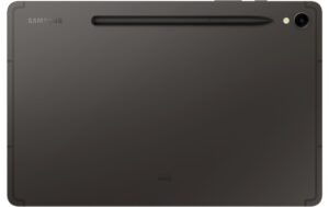 Samsung Tab S9 5G Gray 12+256GB 256GB
