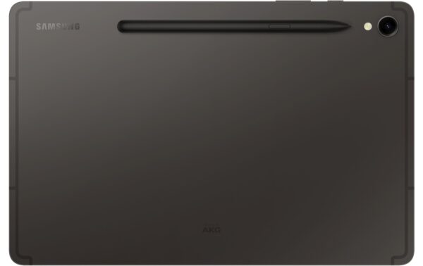 Samsung Tab S9 5G Gray 12+256GB 256GB