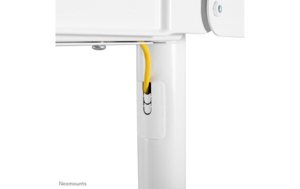 1599405_8 - Mediatech Neomounts NS-M1250WHITE Floor Stand - (height: 137 cm)