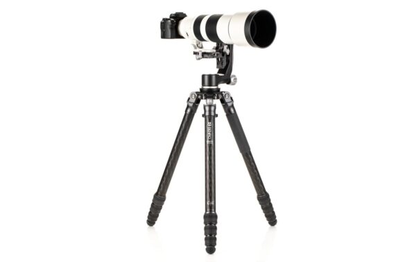 TMTH44C Mammoth Carbon Stativ