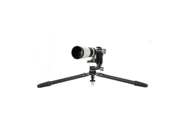 TMTH44C Mammoth Carbon Stativ