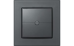 Homematic IP Wired Wandtaster 2-fach anthrazit kaufen Schweiz | Mediatech.ch