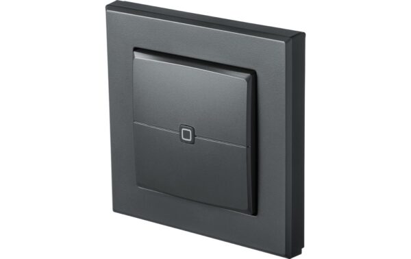 Homematic IP Wired Wandtaster 2-fach anthrazit
