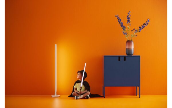 WiZ Pole Floor Light Tischleuchte Tunable White &  Color 1080lm