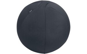 Leitz Active Sitzball 55cm Antiwegrollfunktion, samtgrau