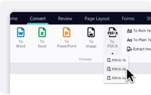 Nitro Pro 14.x Single User, Vollversion