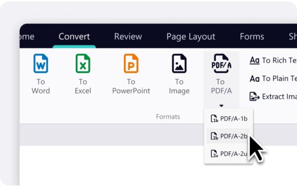 Nitro Pro 14.x Single User, Vollversion