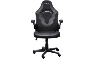 Trust GXT703B Riye Chair schwarz