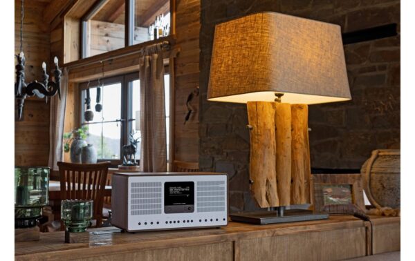 Revo SuperConnect Stereo, walnuss silber DAB+, FM, Internetradio, Spotify, Bluetooth