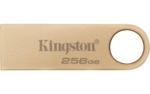 Kingston DataTraveler SE9 G3 256GB, USB 3.2 Gen 1, 220MB/s, Metallgehäuse