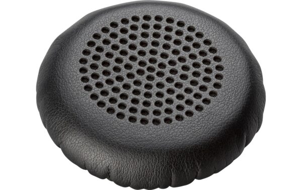 1673250_2 - Mediatech Poly EncorePro HW520