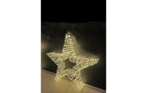 1681634 - Mediatech Dameco LED Stern Metall 11x90cm 1500 LED ww, inkl.Timer 6/18h, IP55 kaufen Schweiz | Mediatech.ch