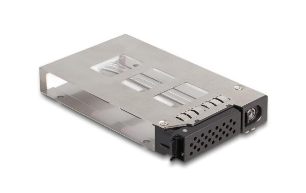 Delock Slim Bay Wechselrahmen für 1x2.5 U.2 NVMe SSD