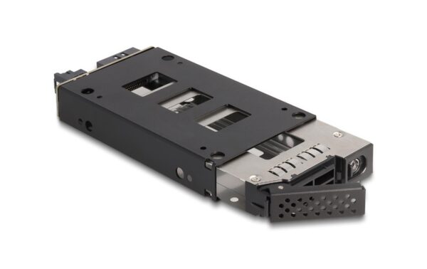 Delock Slim Bay Wechselrahmen für 1x2.5 U.2 NVMe SSD